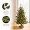 4ft. Pre-Lit Kensington Burlap Entry Tree with Clear Lights